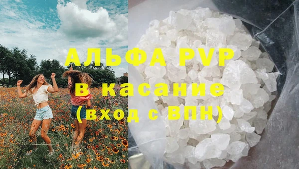 гашик Балахна