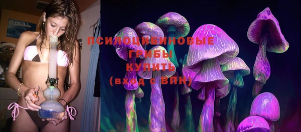 гидра Баксан