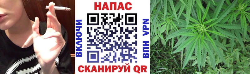 где купить наркоту  Георгиевск  Шишки марихуана план 